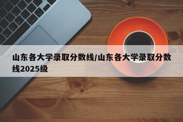 山东各大学录取分数线/山东各大学录取分数线2025级