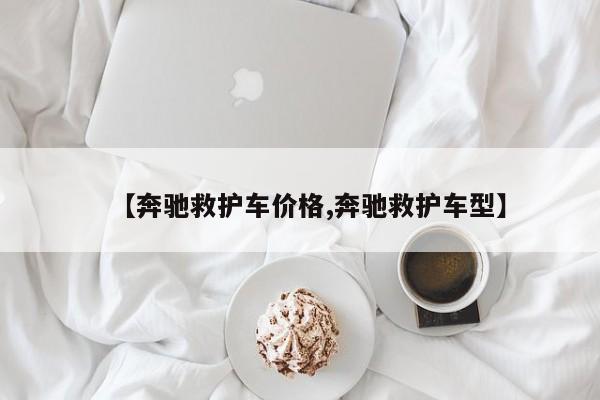 【奔驰救护车价格,奔驰救护车型】